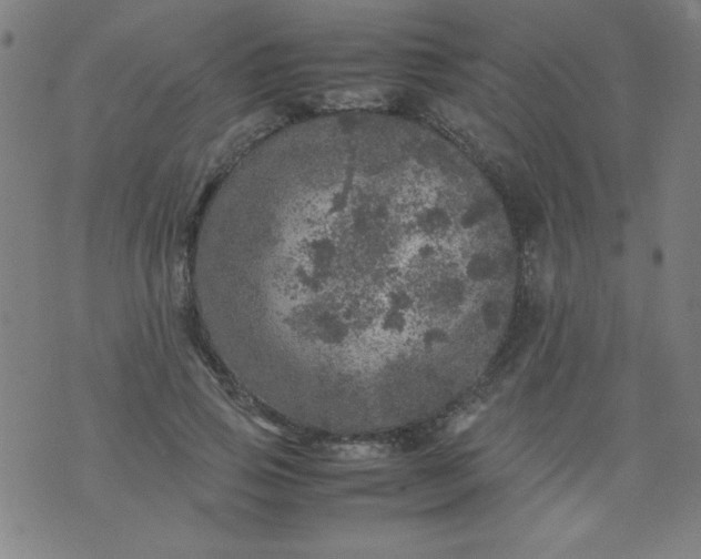 X0000070410741200606231827