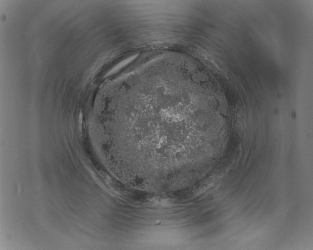 X0000070410742200606231827