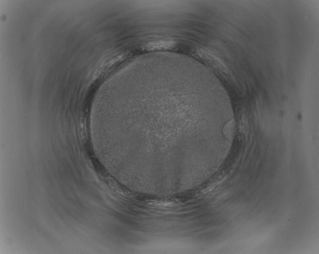 X0000070410743200606231827