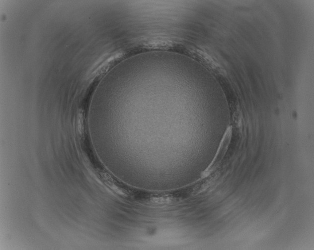 X0000070410744200606231827