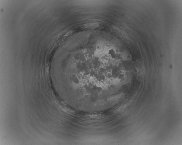 X0000070410745200606231828