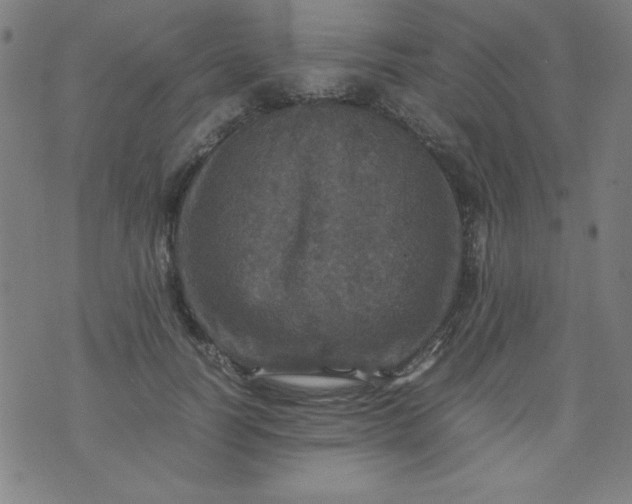 X0000070410746200606231828