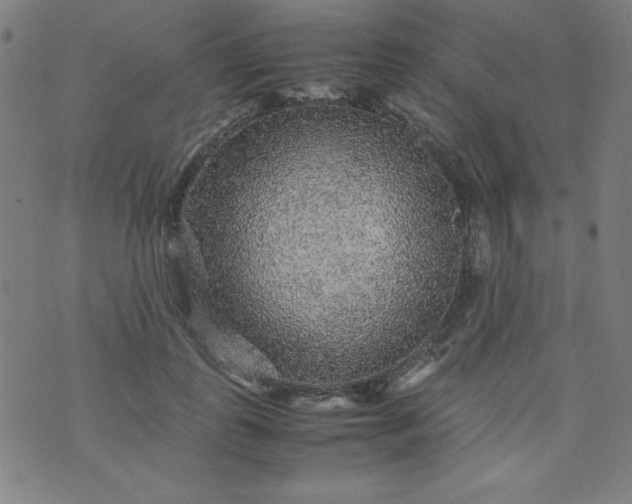 X0000070410747200606231828