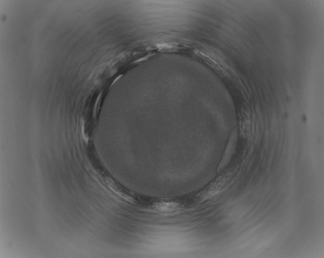 X0000070410748200606231828