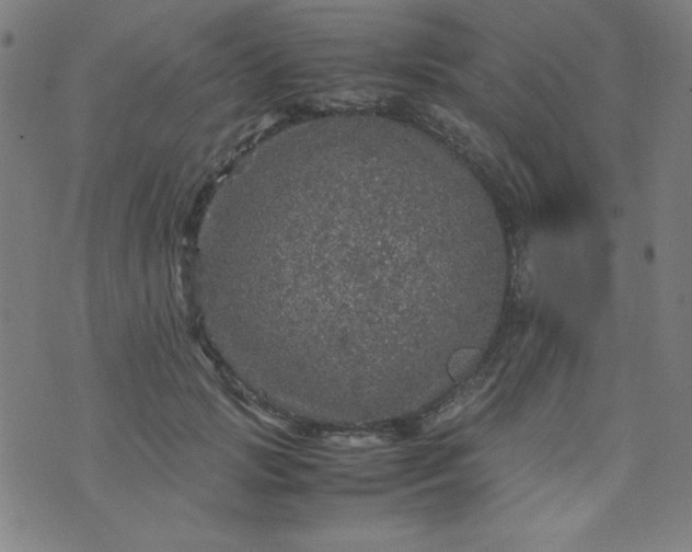 X0000070410749200606231828