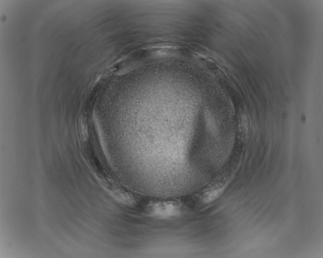 X0000070410751200606231828