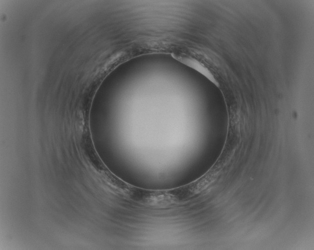 X0000070410752200606231828