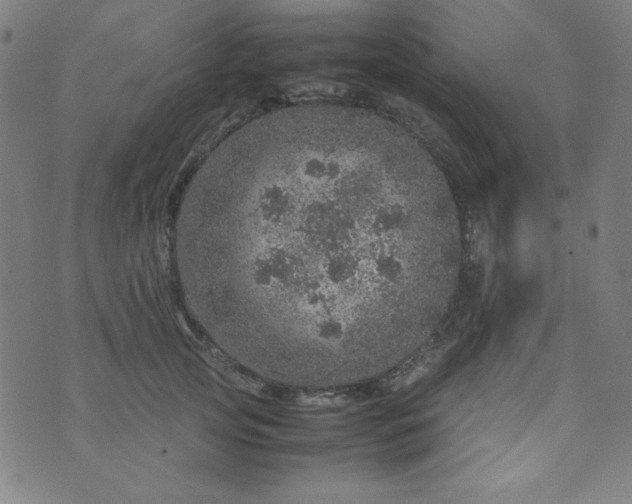 X0000070410753200606231828