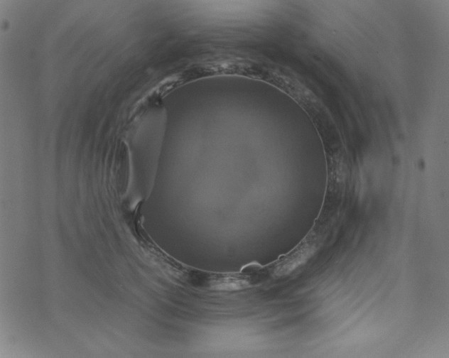 X0000070410754200606231828