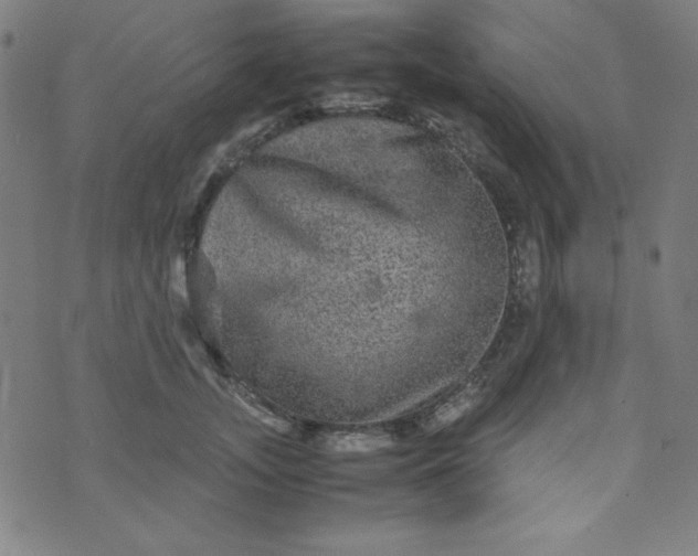 X0000070410755200606231828