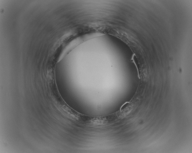 X0000070410756200606231828