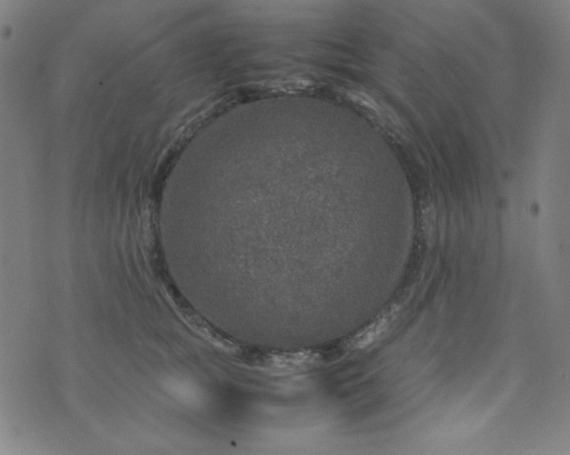 X0000070410757200606231828