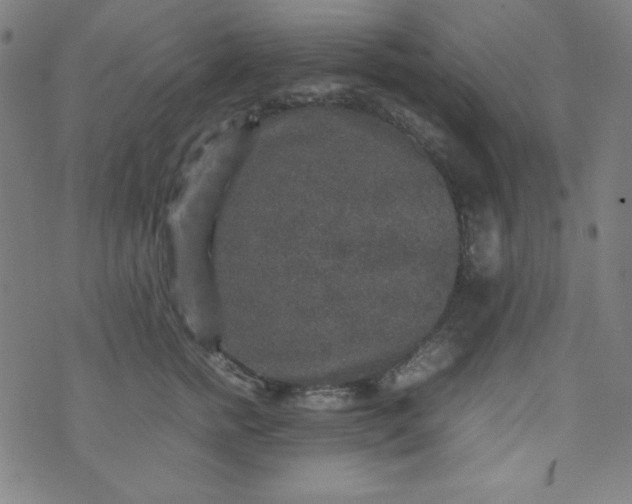 X0000070410758200606231828