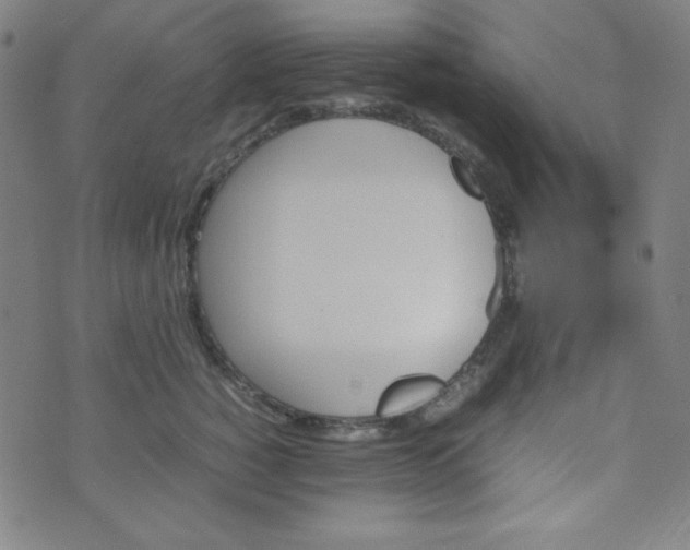 X0000070410760200606231828