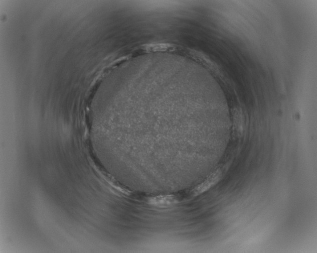 X0000070410761200606231828