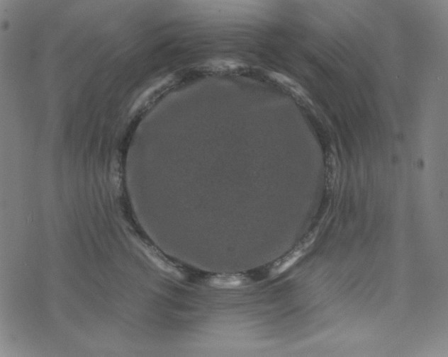 X0000070410762200606231828