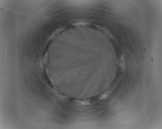 X0000070410763200606231828