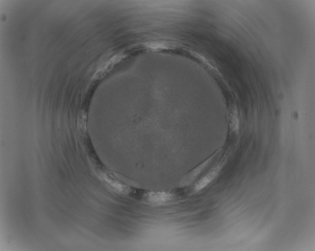 X0000070410766200606231828