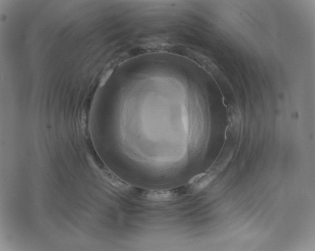 X0000070410767200606231828