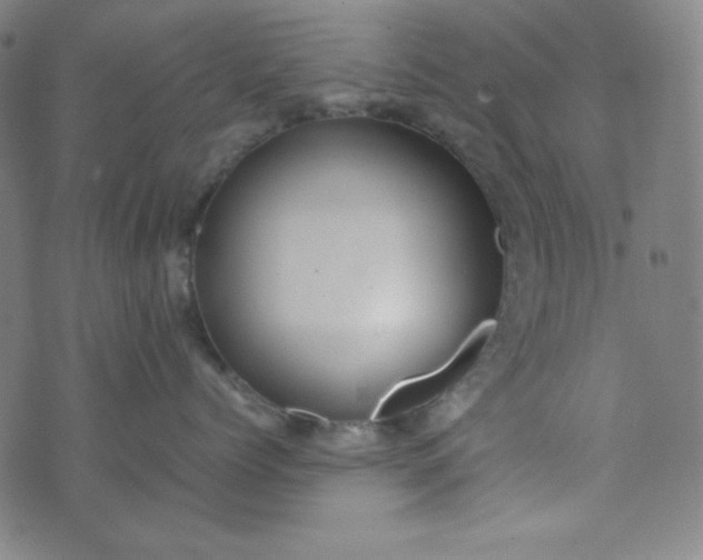 X0000070410768200606231828