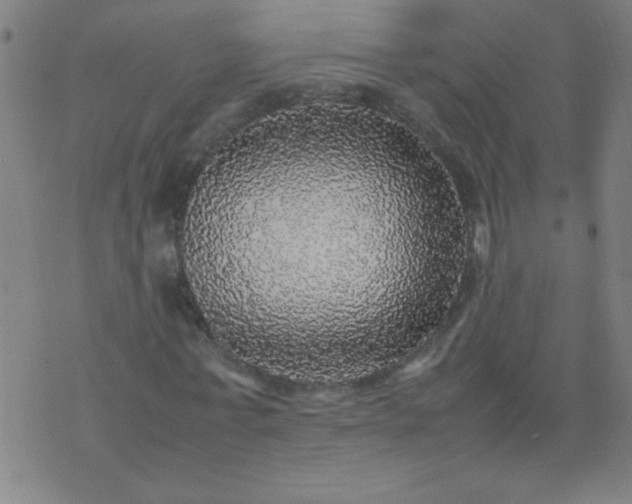 X0000070410771200606231827