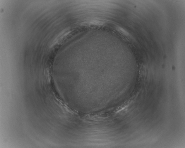 X0000070410774200606231827