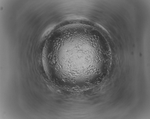 X0000070410775200606231827