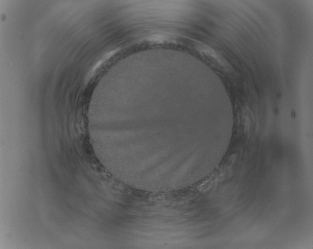 X0000070410776200606231827