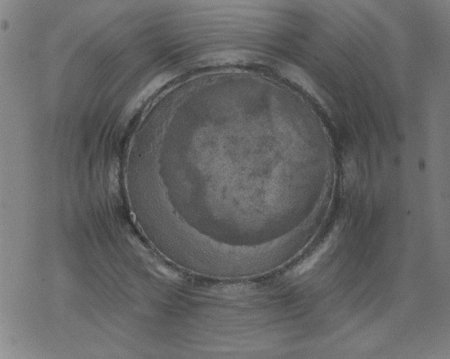 X0000070410778200606231827