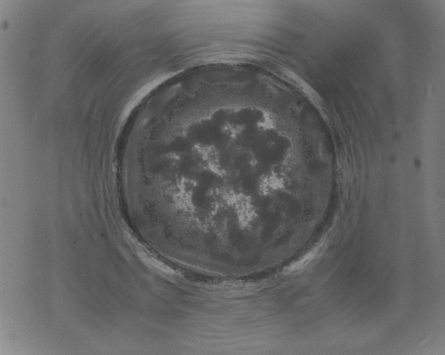 X0000070410779200606231827