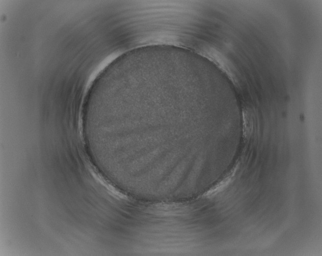 X0000070410780200606231827