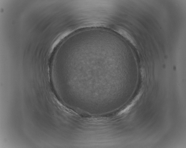 X0000070410781200606231827