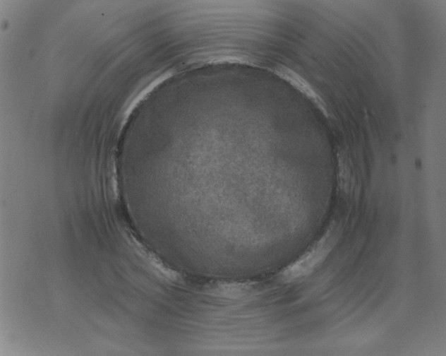 X0000070410782200606231827