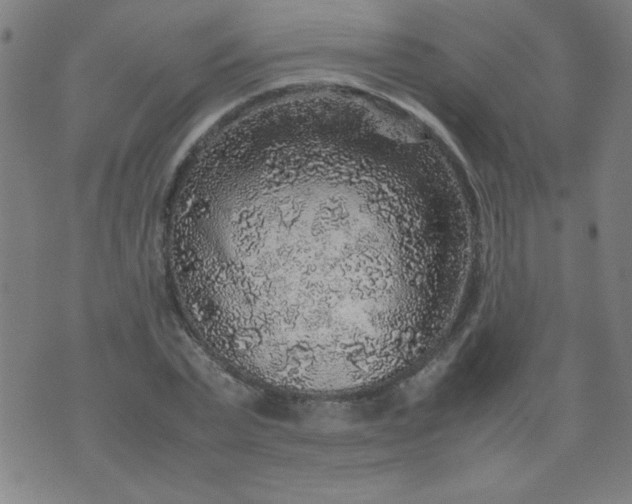 X0000070410783200606231827