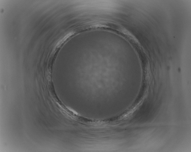 X0000070410785200606231827