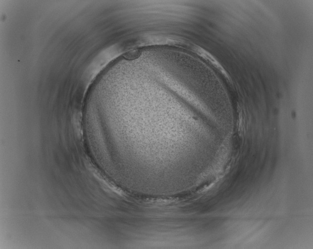 X0000070410786200606231827