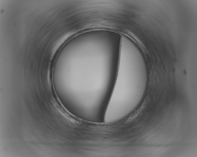 X0000070410788200606231827