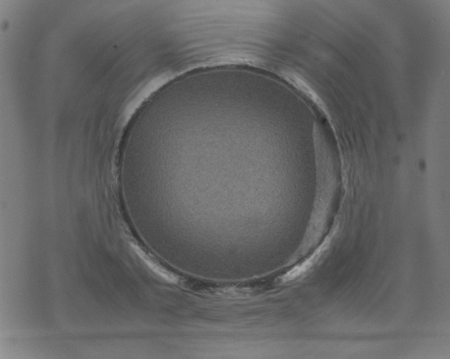 X0000070410789200606231827