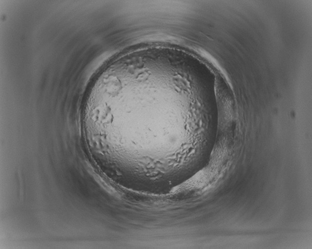 X0000070410791200606231827