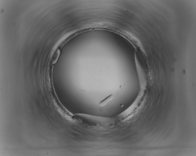 X0000070410792200606231827