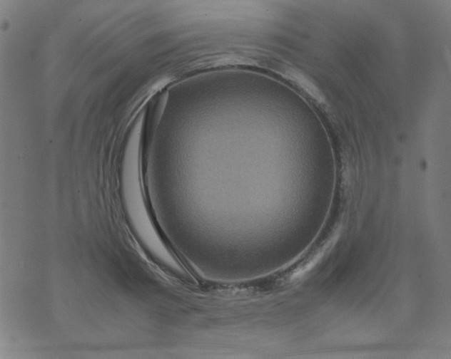 X0000070410793200606231827