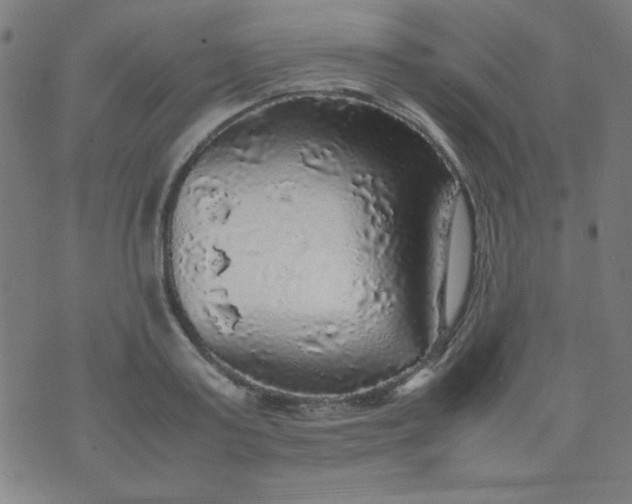 X0000070410795200606231827