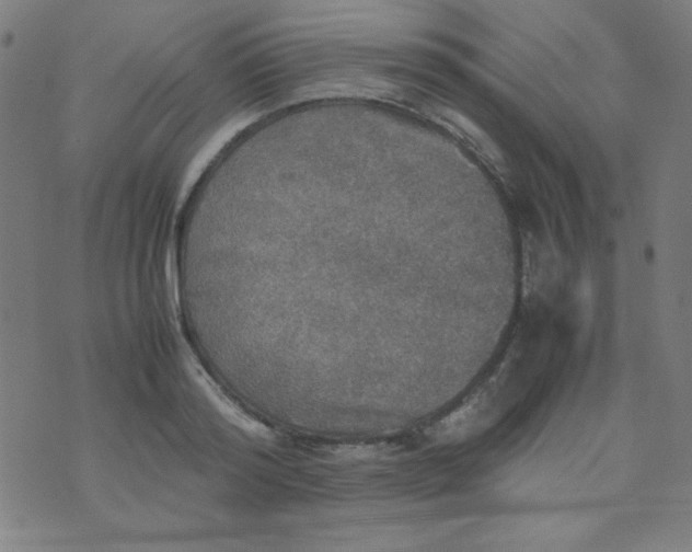 X0000070410796200606231827