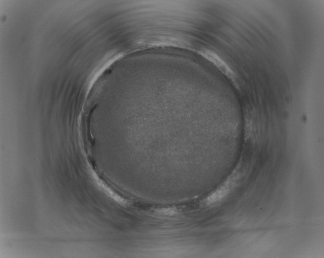 X0000070410798200606231827