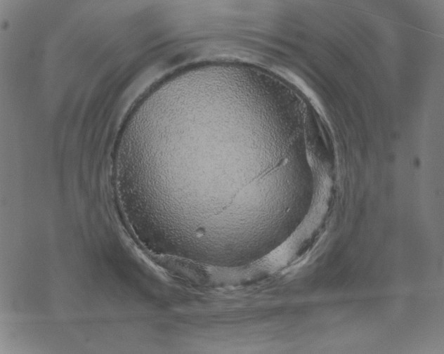 X0000070410799200606231827