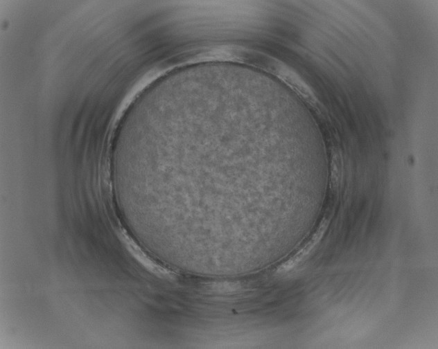 X0000070410800200606231827