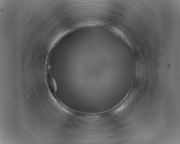 X0000070410802200606231827