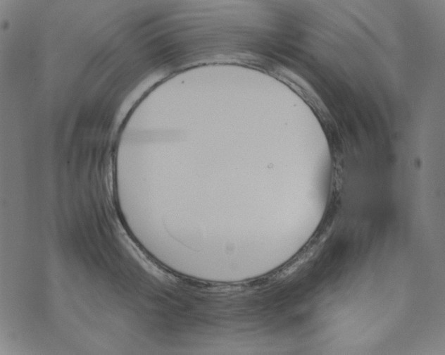 X0000070410804200606231827