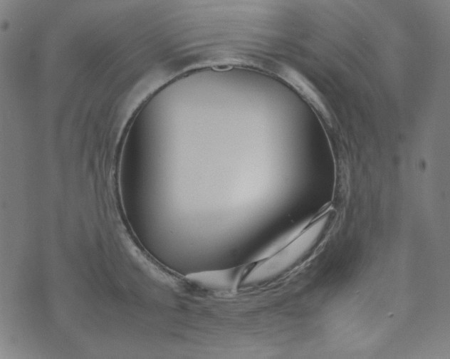 X0000070410805200606231827