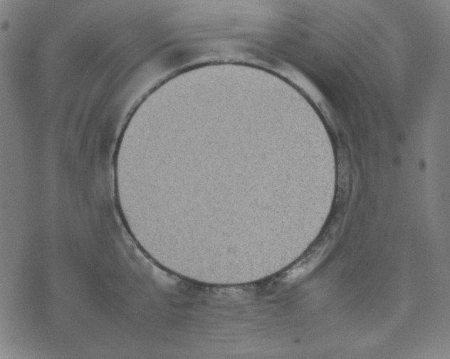 X0000070410807200606231826